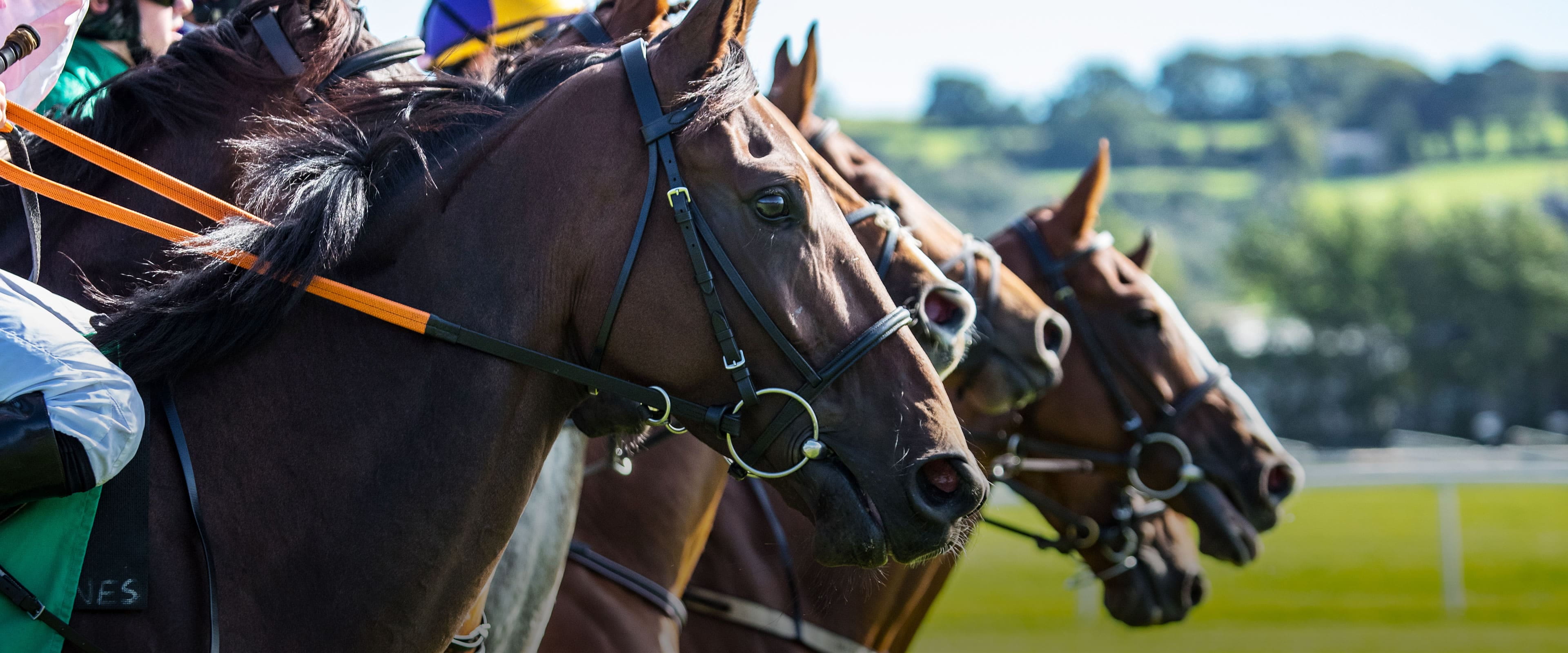 ３頭の競走馬が並んで走っている様子