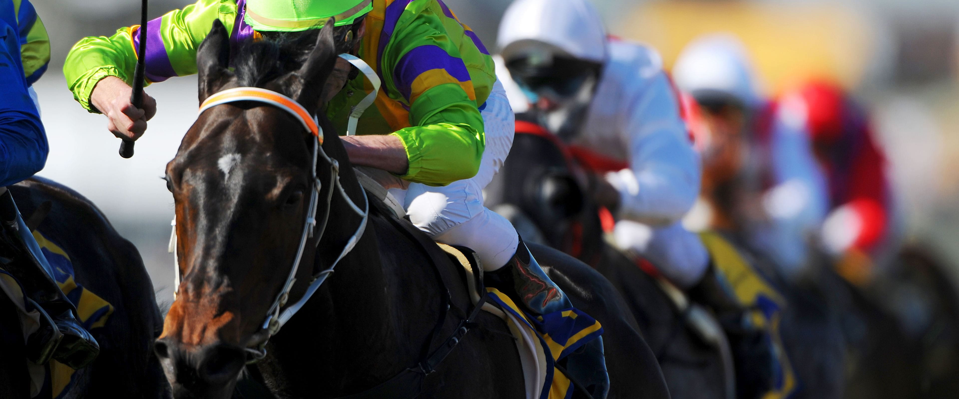 競馬のレース中の様子