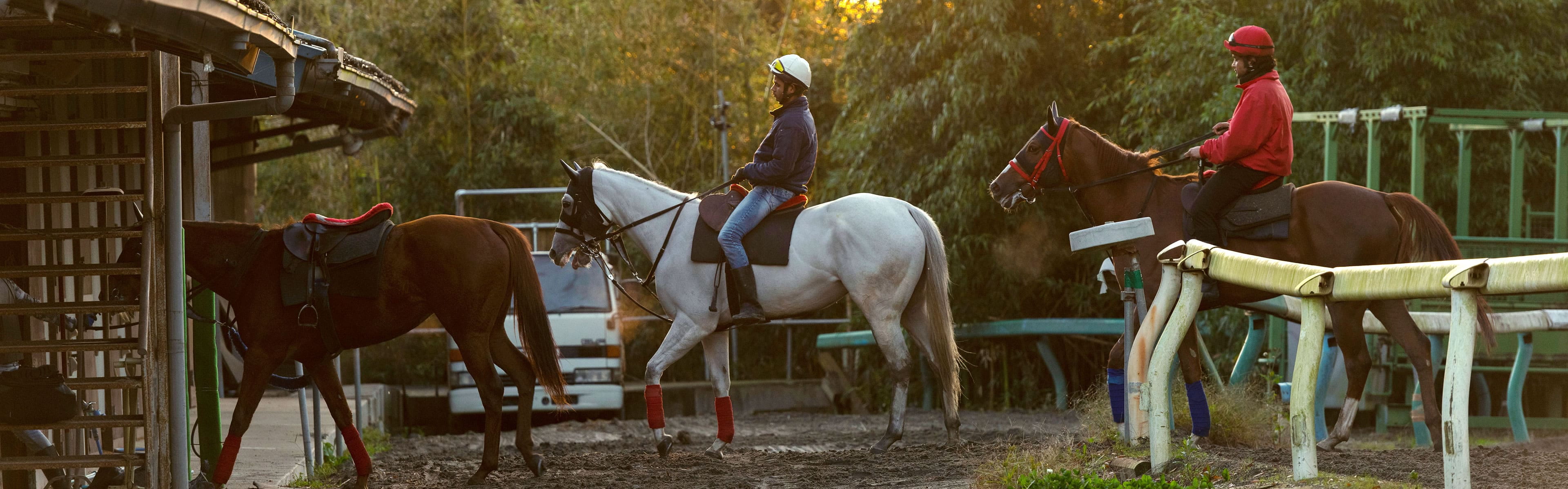 人を乗せた馬が小屋に戻る様子